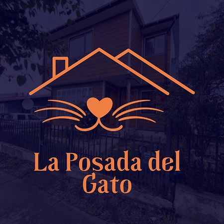 לינה וארוחת בוקר פורטו נטאלס Posada De Los Gatos מראה חיצוני תמונה